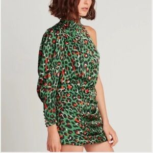 Choosy Green Leopard Print Dress